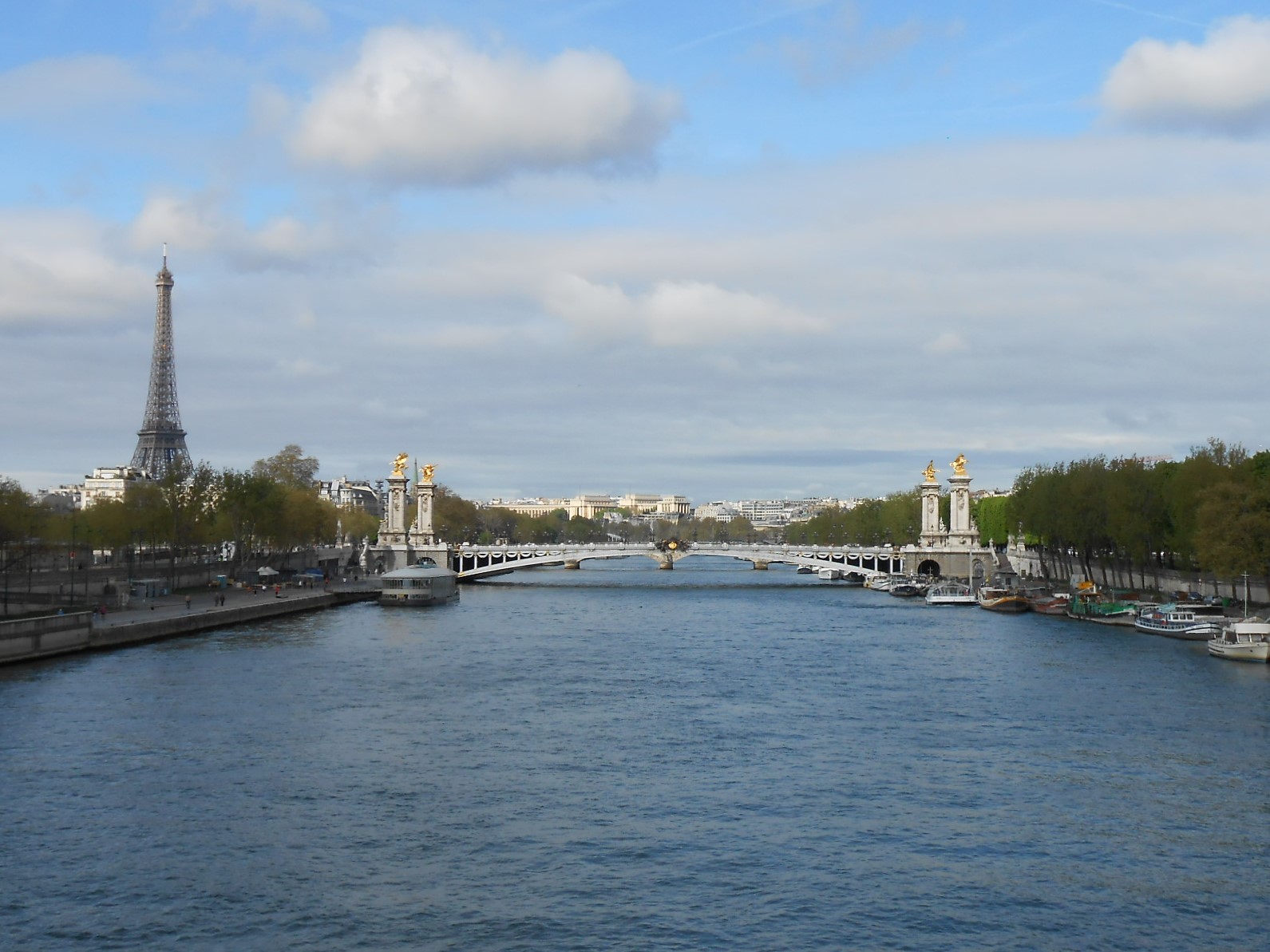  Eiffel Tower and the Alexander III bridge