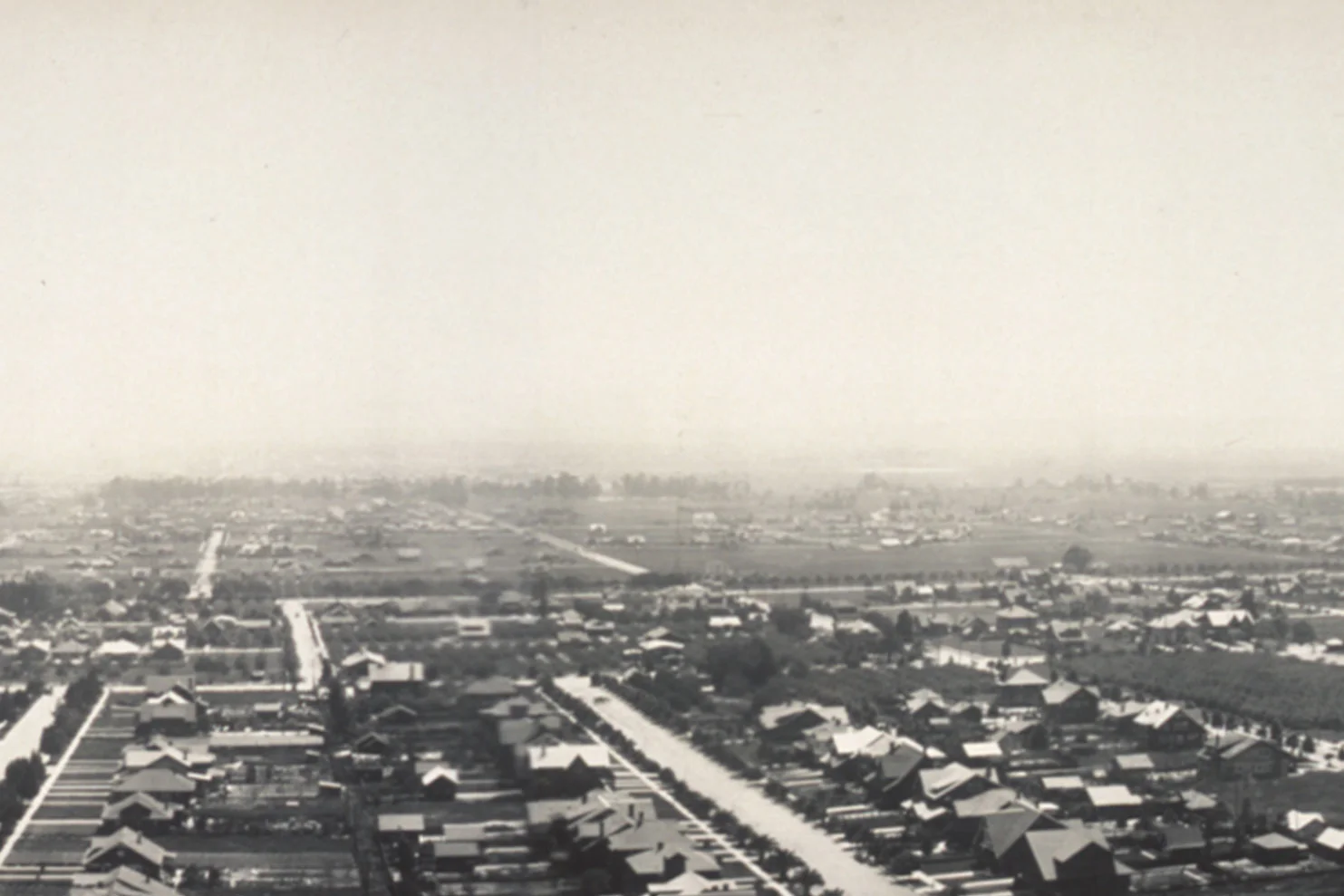 Vivamus fermentum semper porta