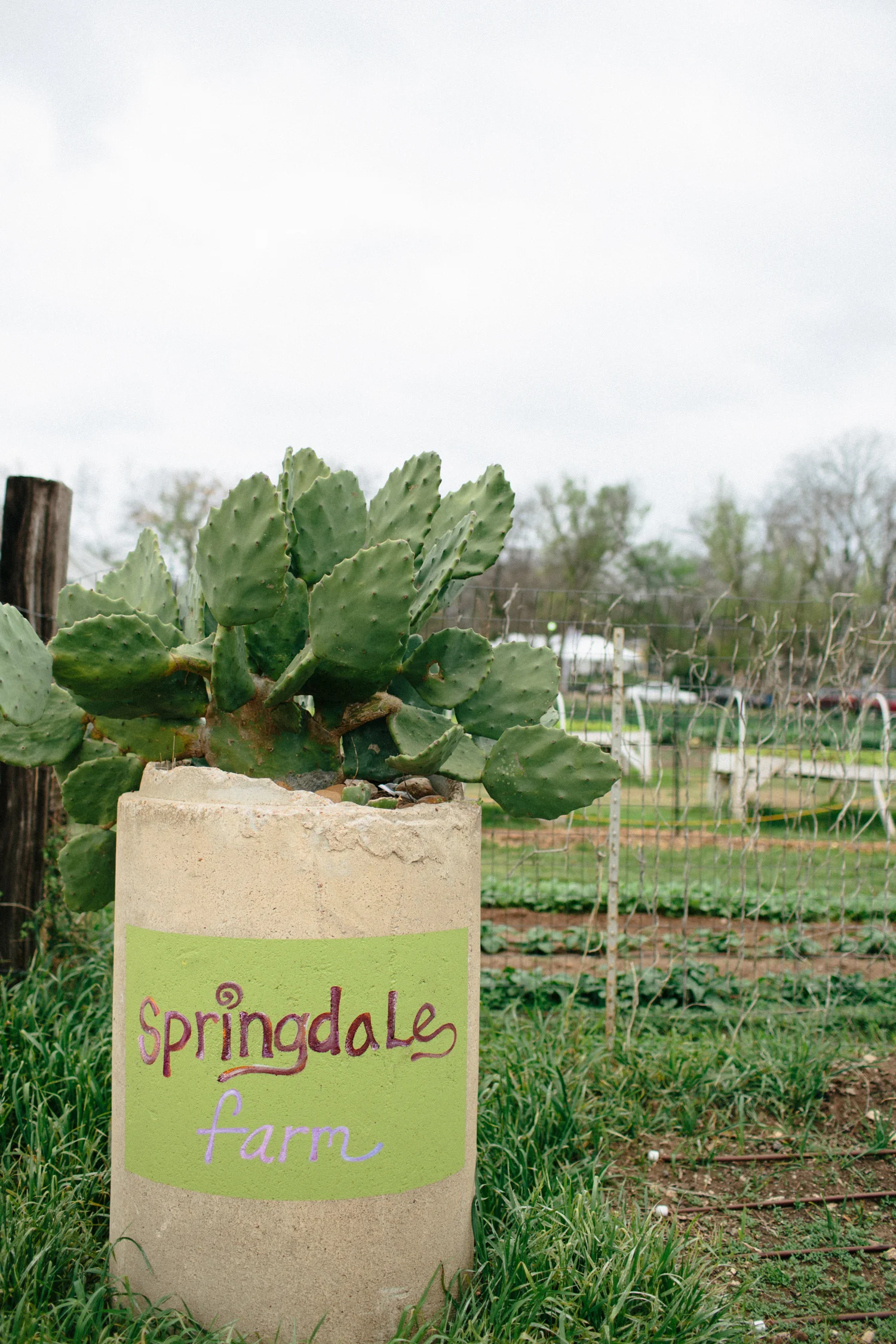 Christina_Will_Springdale_Farm_Wedding_00002.jpg