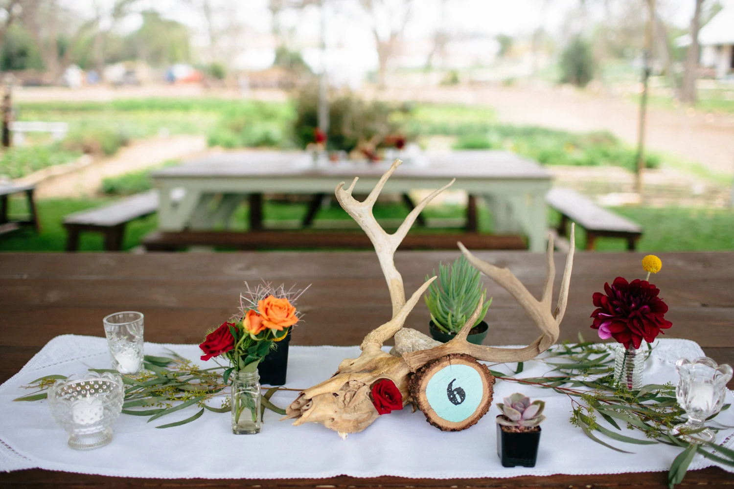 Christina_Will_Springdale_Farm_Wedding_00041.jpg