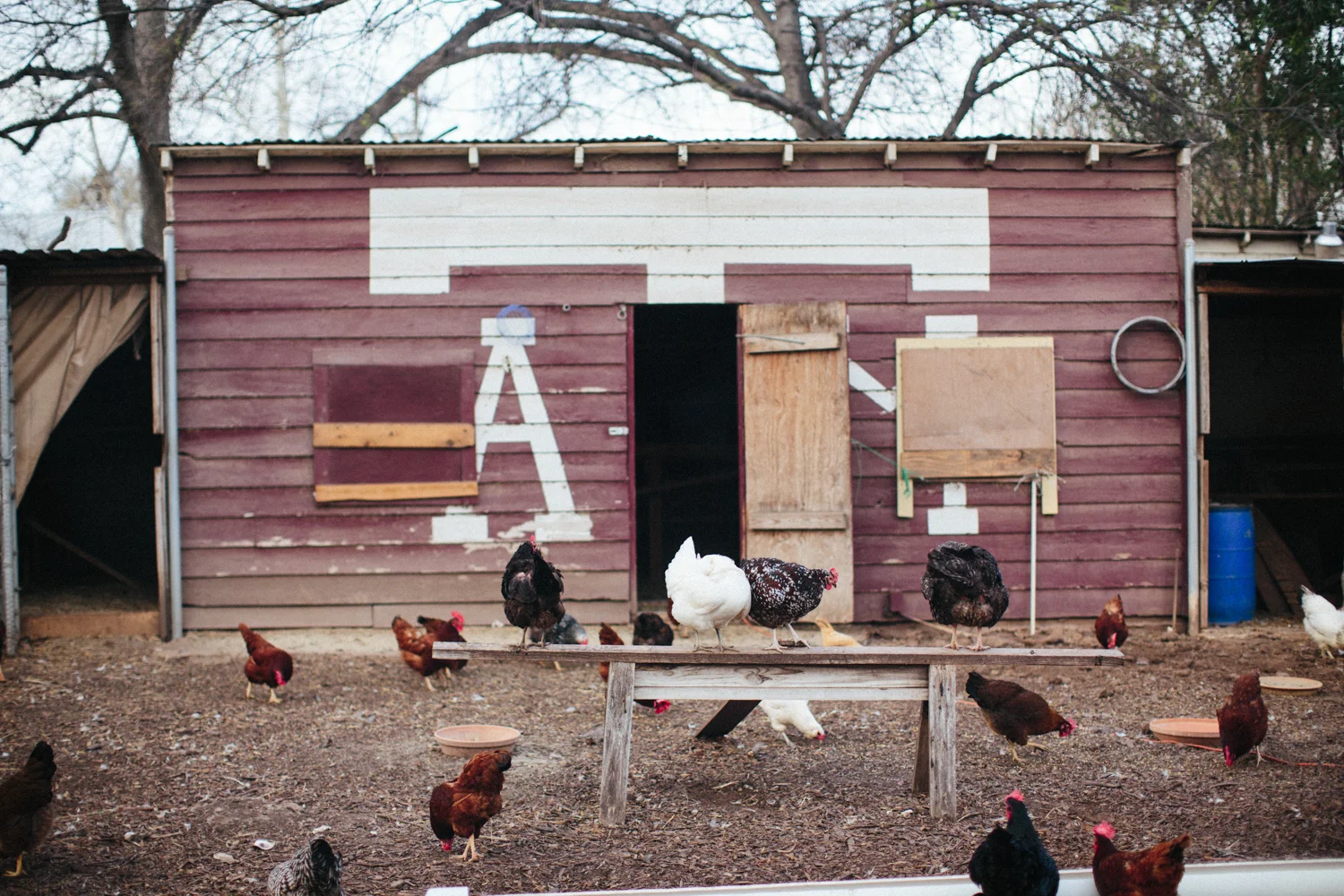 Christina_Will_Springdale_Farm_Wedding_00062.jpg