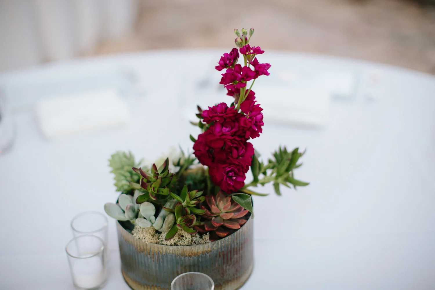 Kate_Jon_Wildflower_Center_Wedding00054.jpg