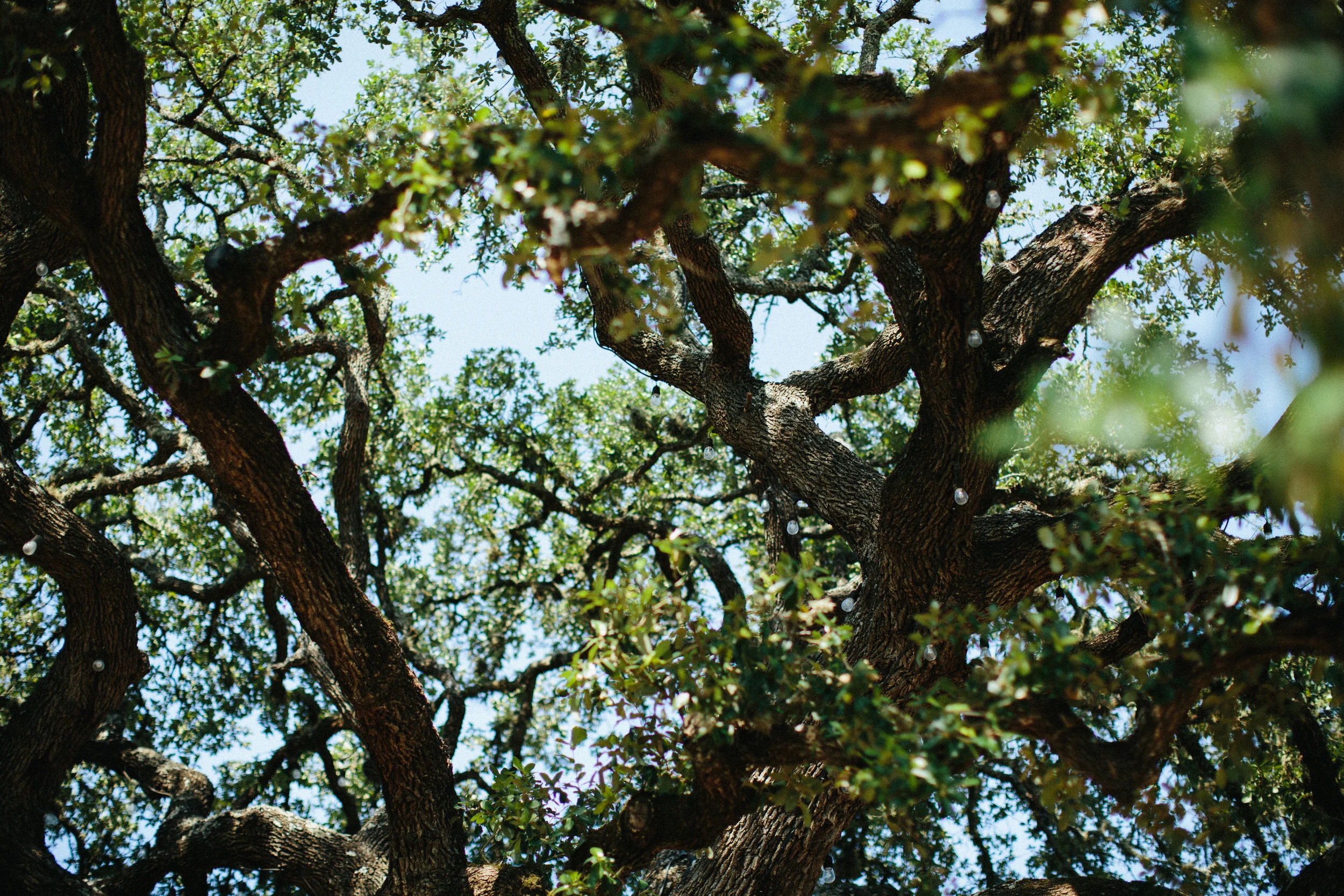 AveryChristyWeddingBlog112.jpg