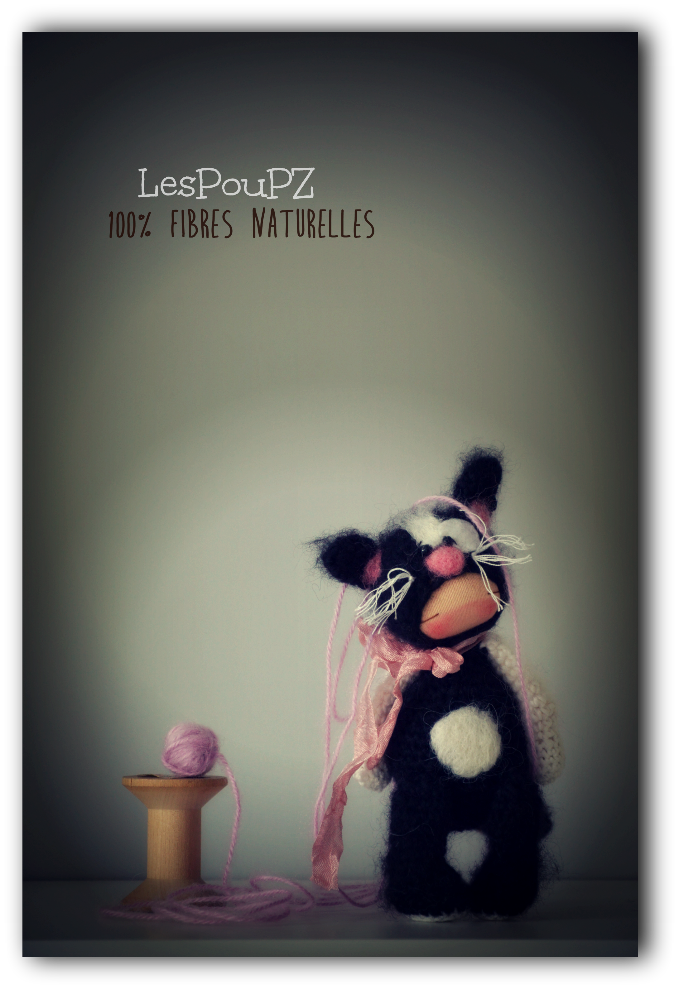 _DSC0028 2.png