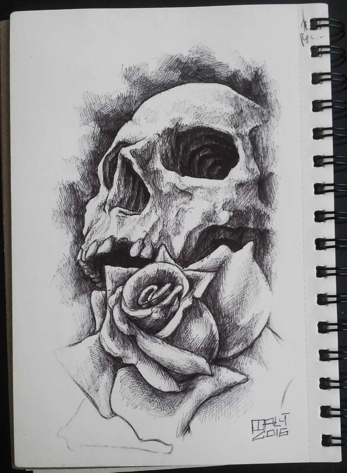 skull and rose.jpg