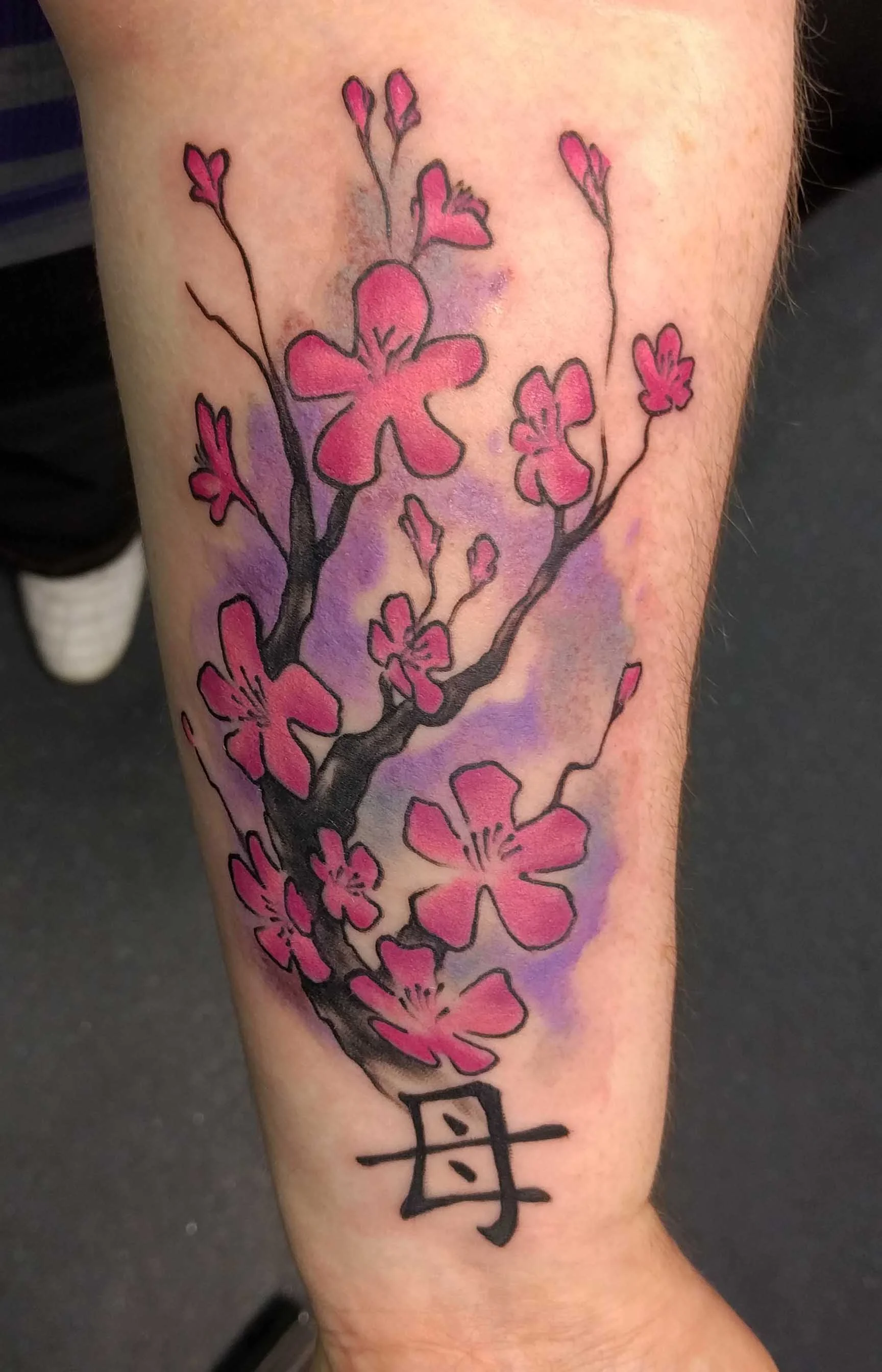 01 cherry blossoms.jpg
