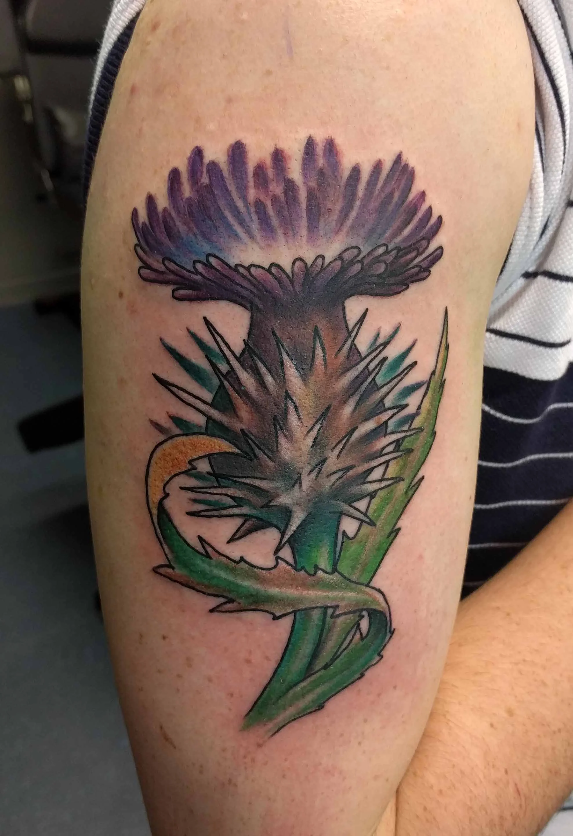 01 color thistle.jpg