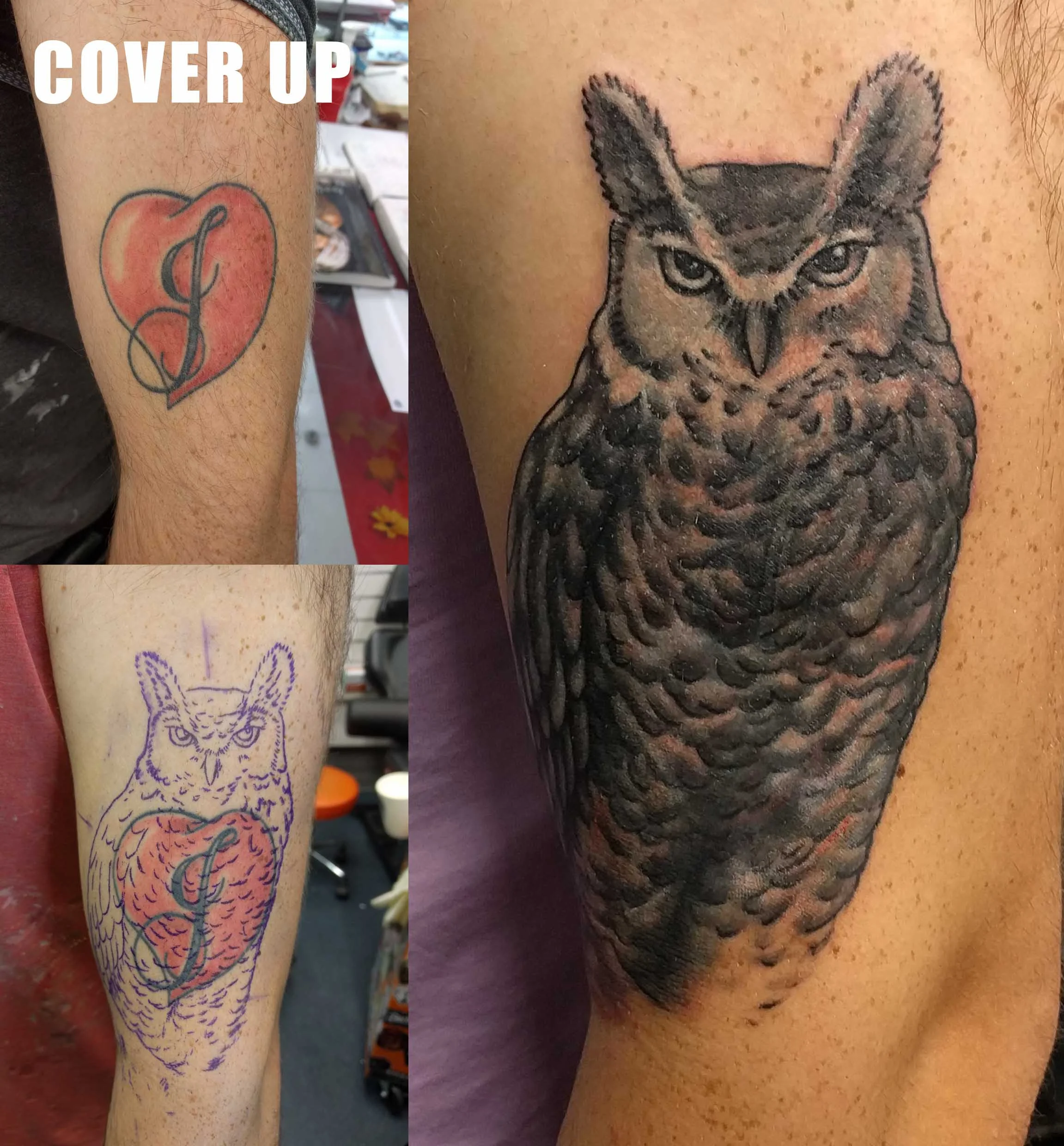 01 owl cover up.jpg