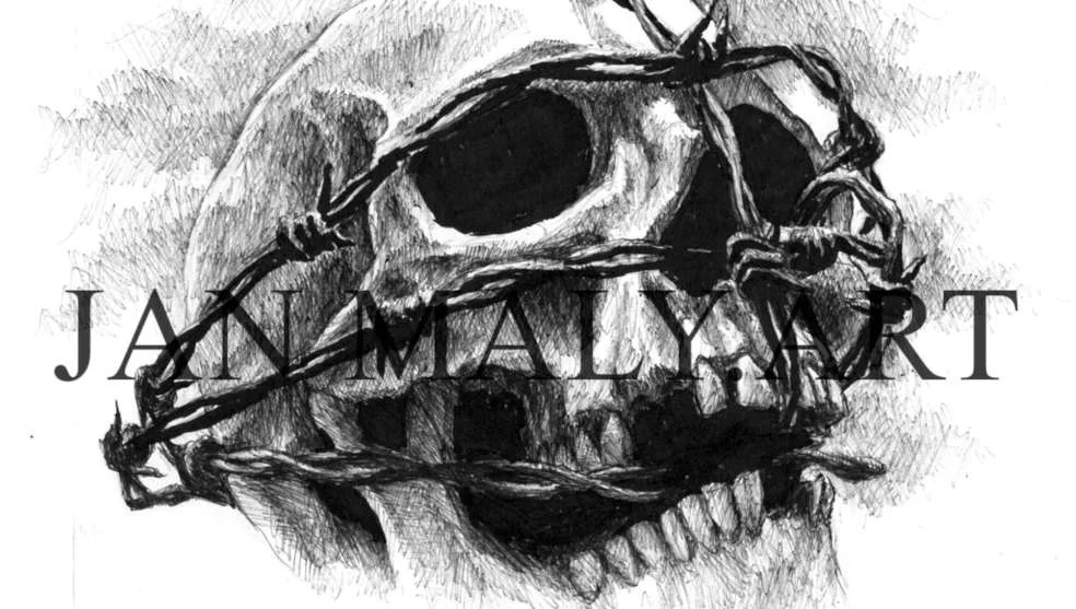 skull 2 CROP.jpg