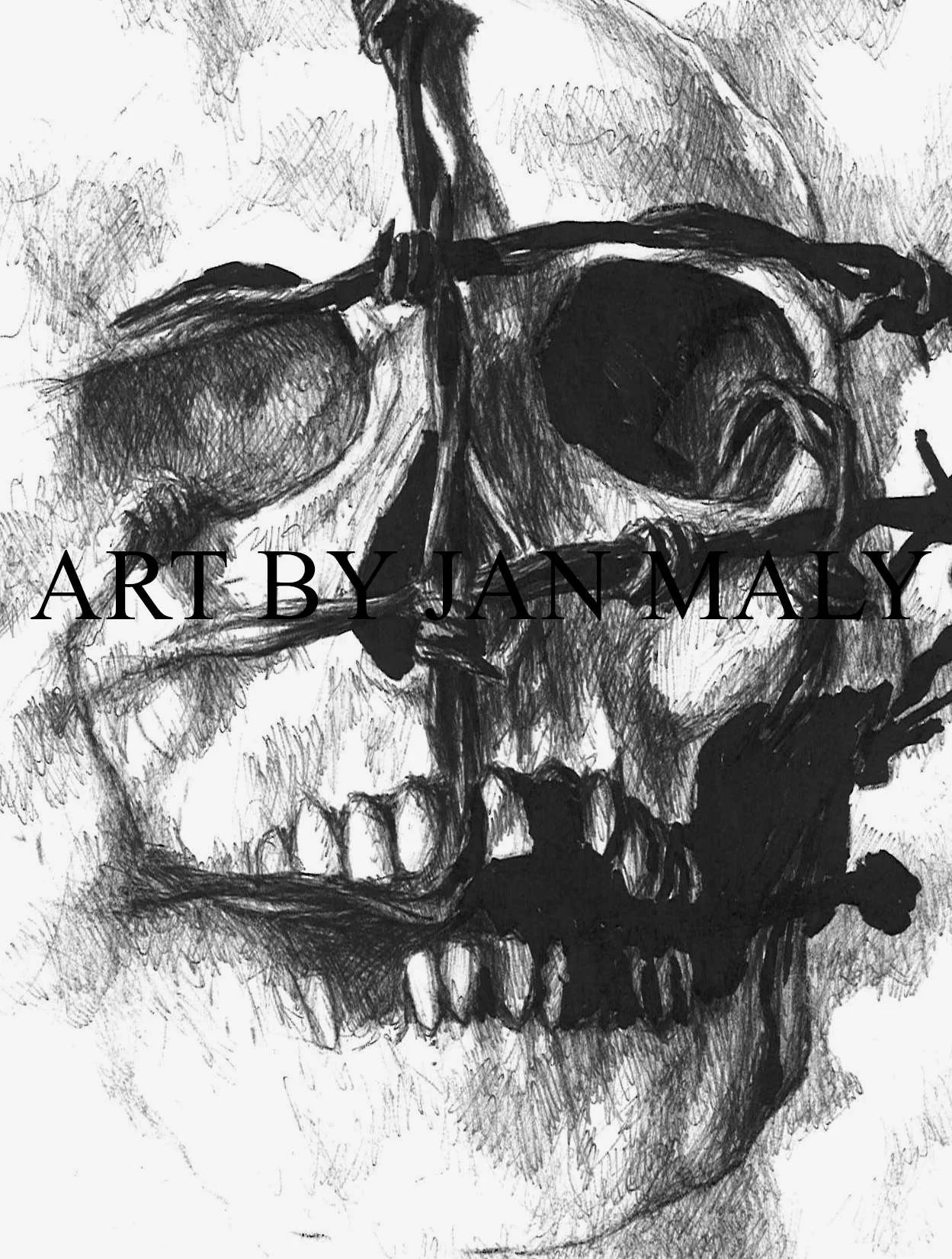 SKULl n wire crop.jpg