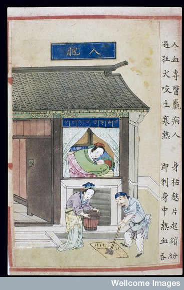 Painting taken from the supplement to Buyi Lei Gong’s Guide to the Preparation of Drugs (1591 edition), from Wellcome Images.