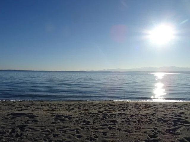 My home, Mutiny Bay on magical Whidbey Island.