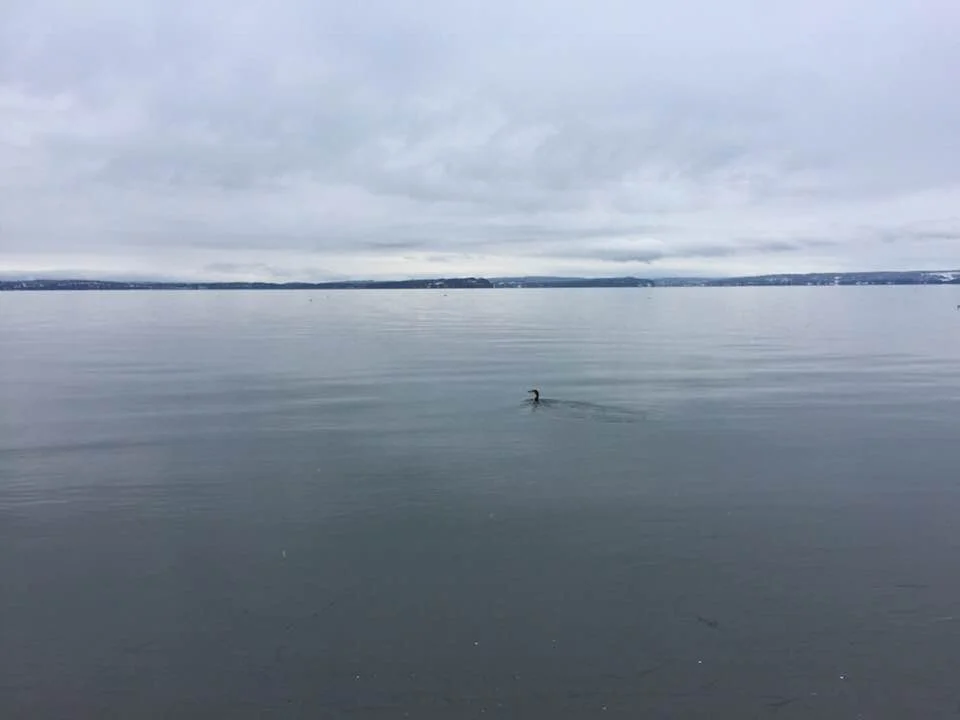 Mutiny Bay (Whidbey Island) on Dec. 25, 2017