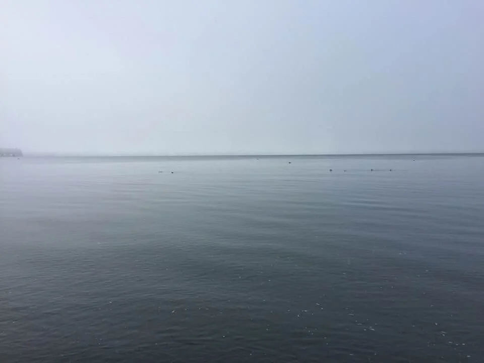 foggybeach.jpg