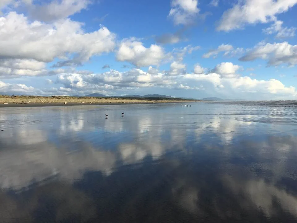 NZsea.jpg