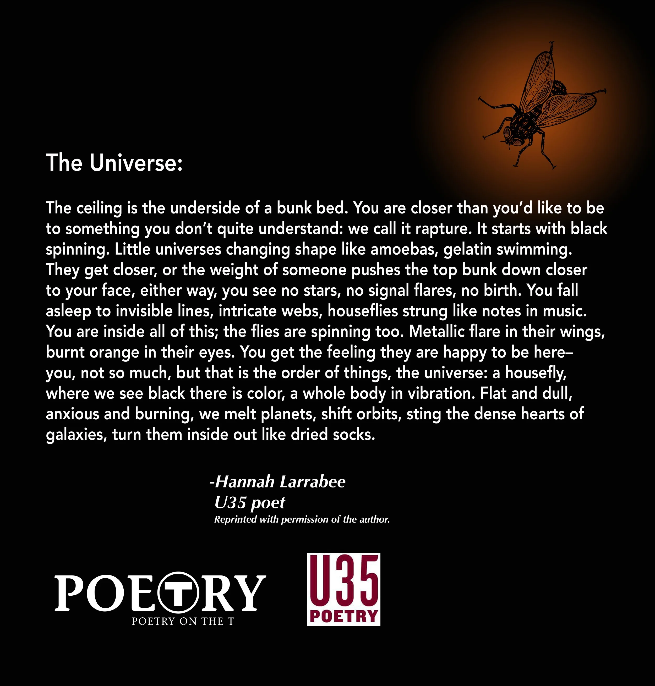 Hannah Larrabee, "The Universe"