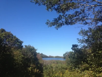 Sherif's Pond