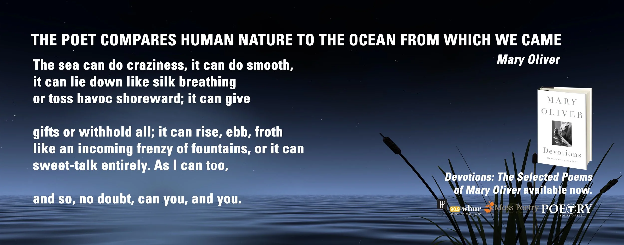 Mary Oliver, "The Poet Compares Human Nature To The Ocean From Which We Came"