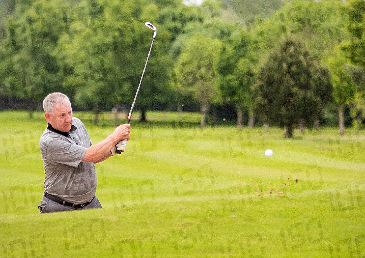 A brilliant bunker shot drops and stops 2 foot from the hole. Bravo!