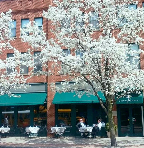 Jefferson_Street.jpg