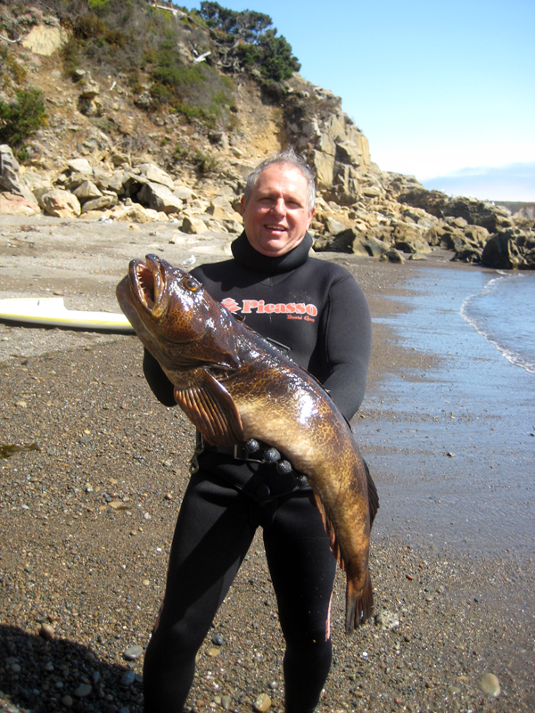 SF Bay Area Lingcod