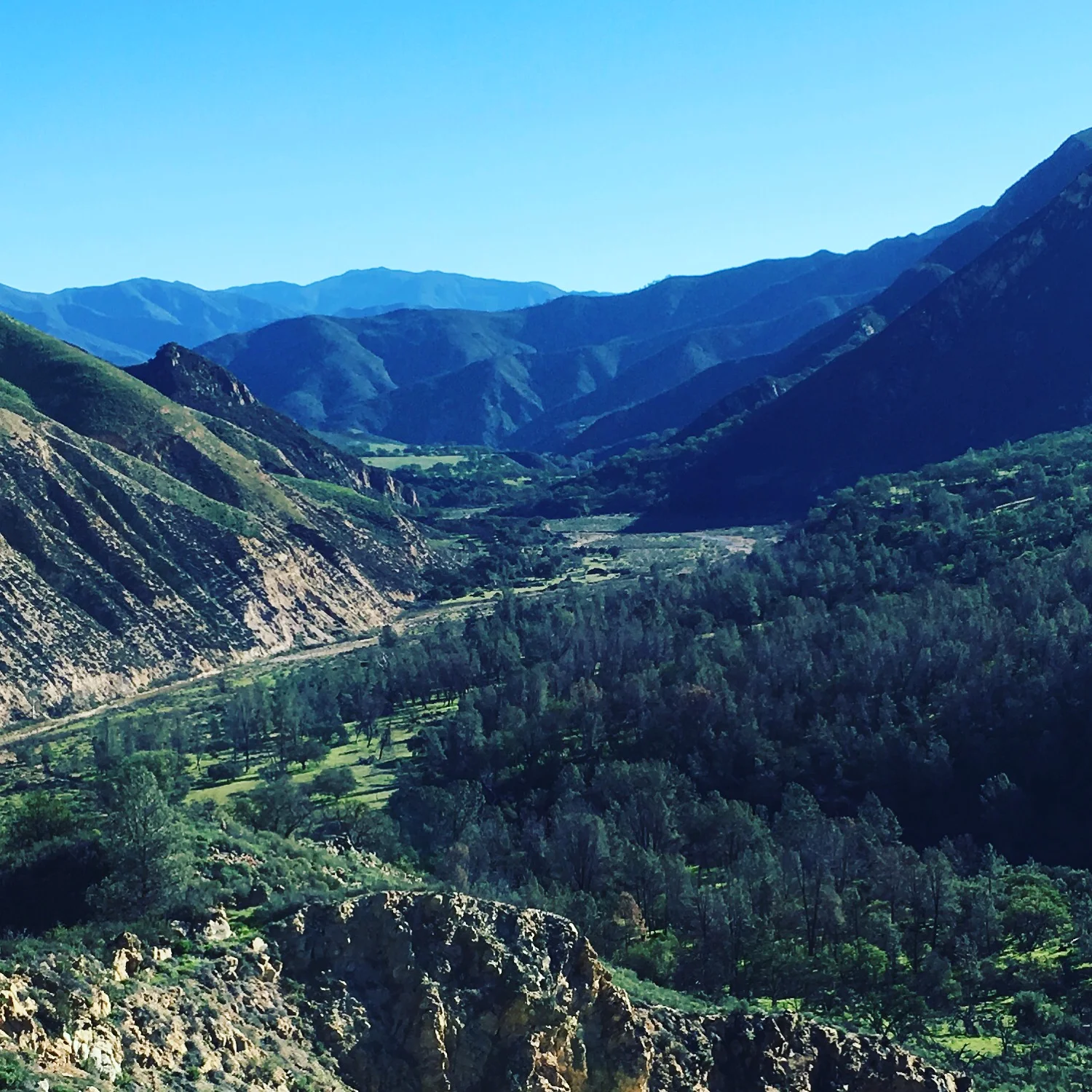 Views on his property don't disappoint. More than the scenery, this view represents a life that values more than stability in a suburban setting, but a life of freedom and desire to build/sculpt. 