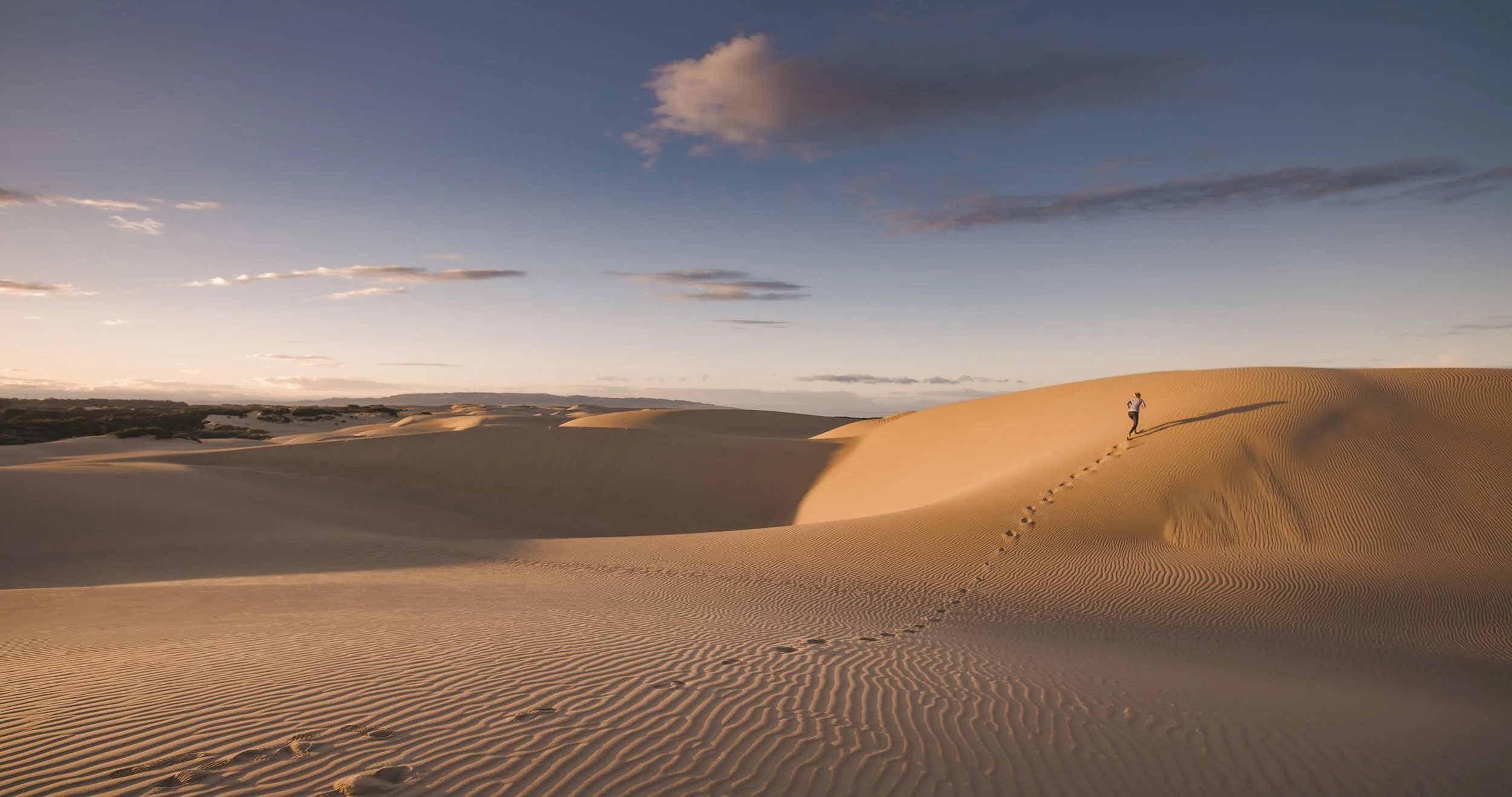 Dune--61.jpg