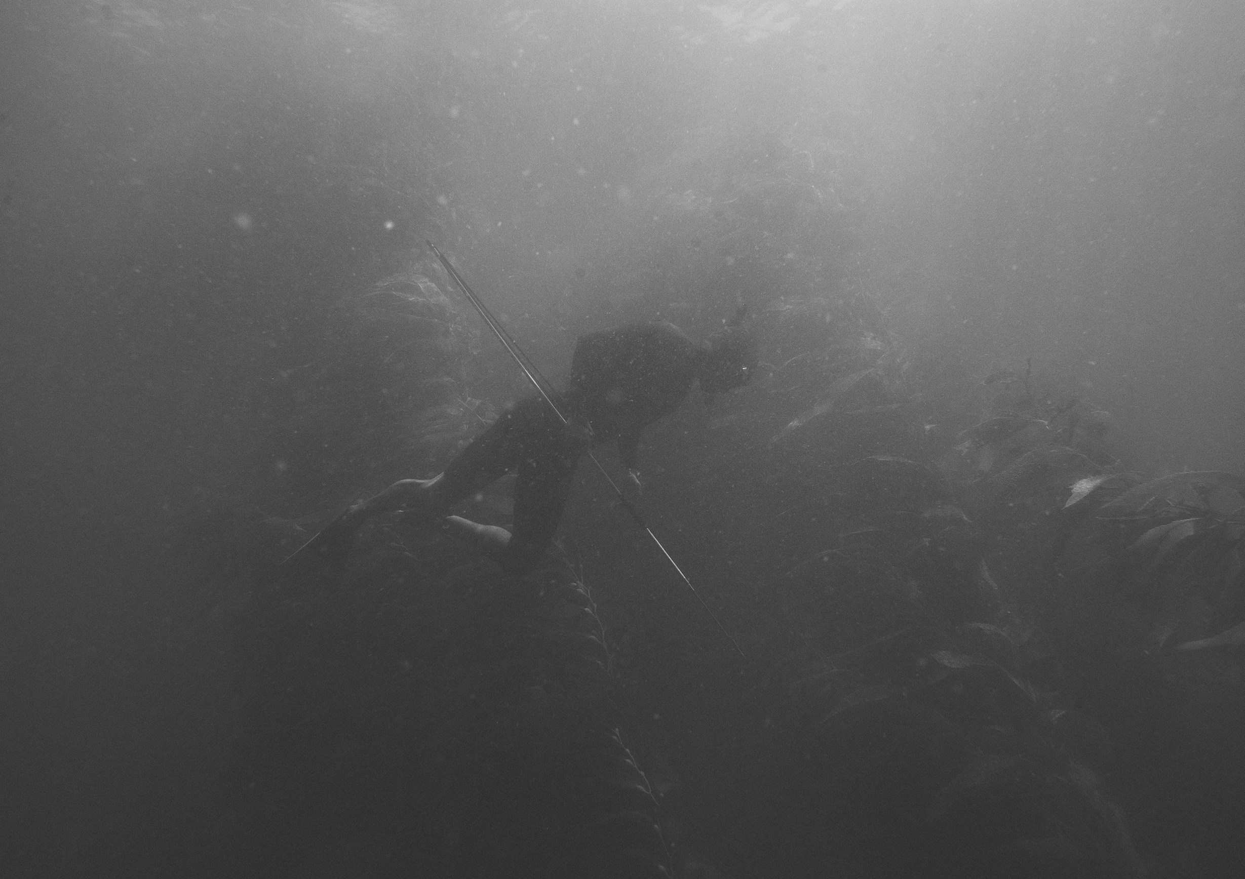 Screen Shot 2015-08-18 at 11.13.50 PM.png