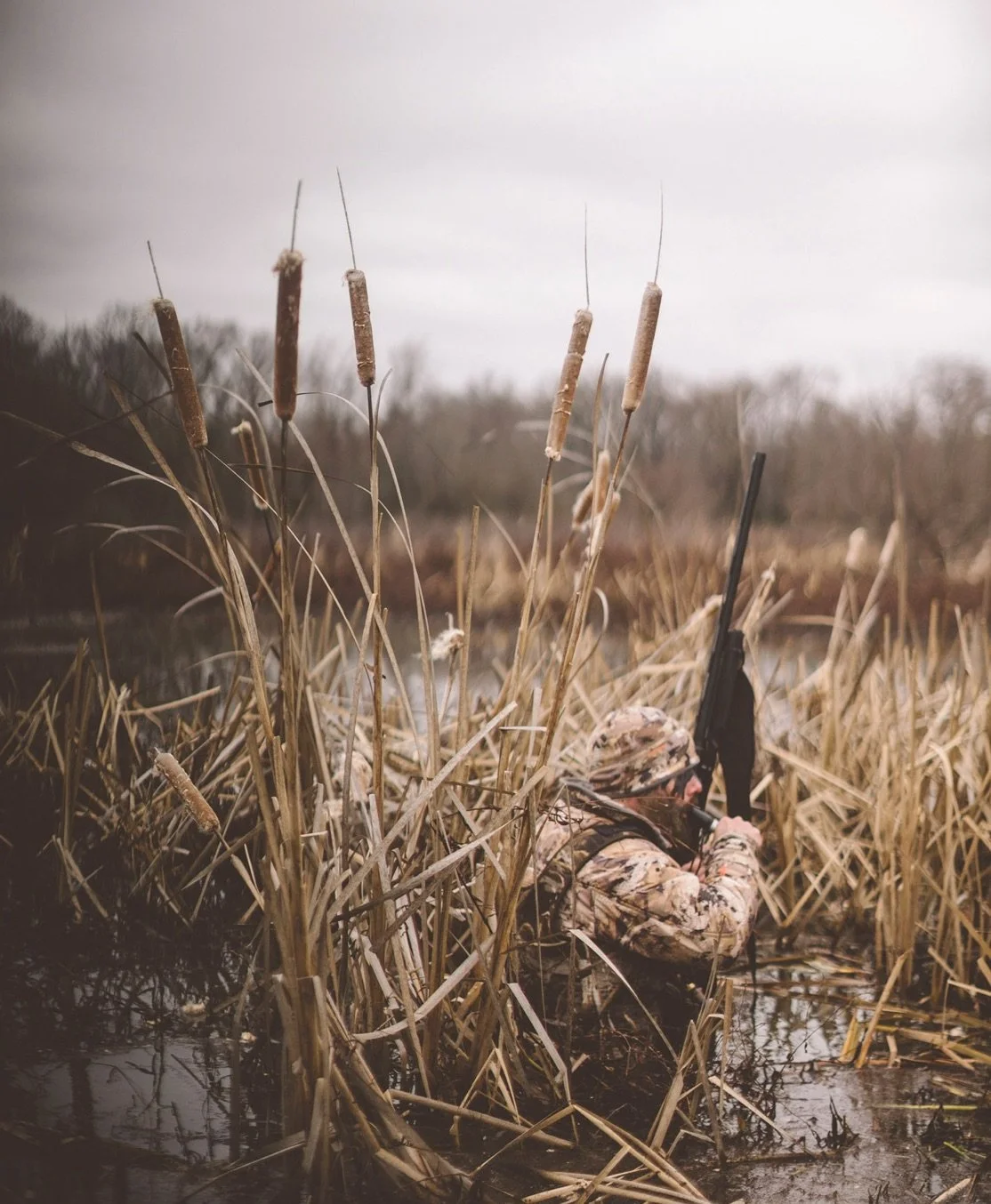 Screen Shot 2015-02-26 at 9.50.34 PM.JPG