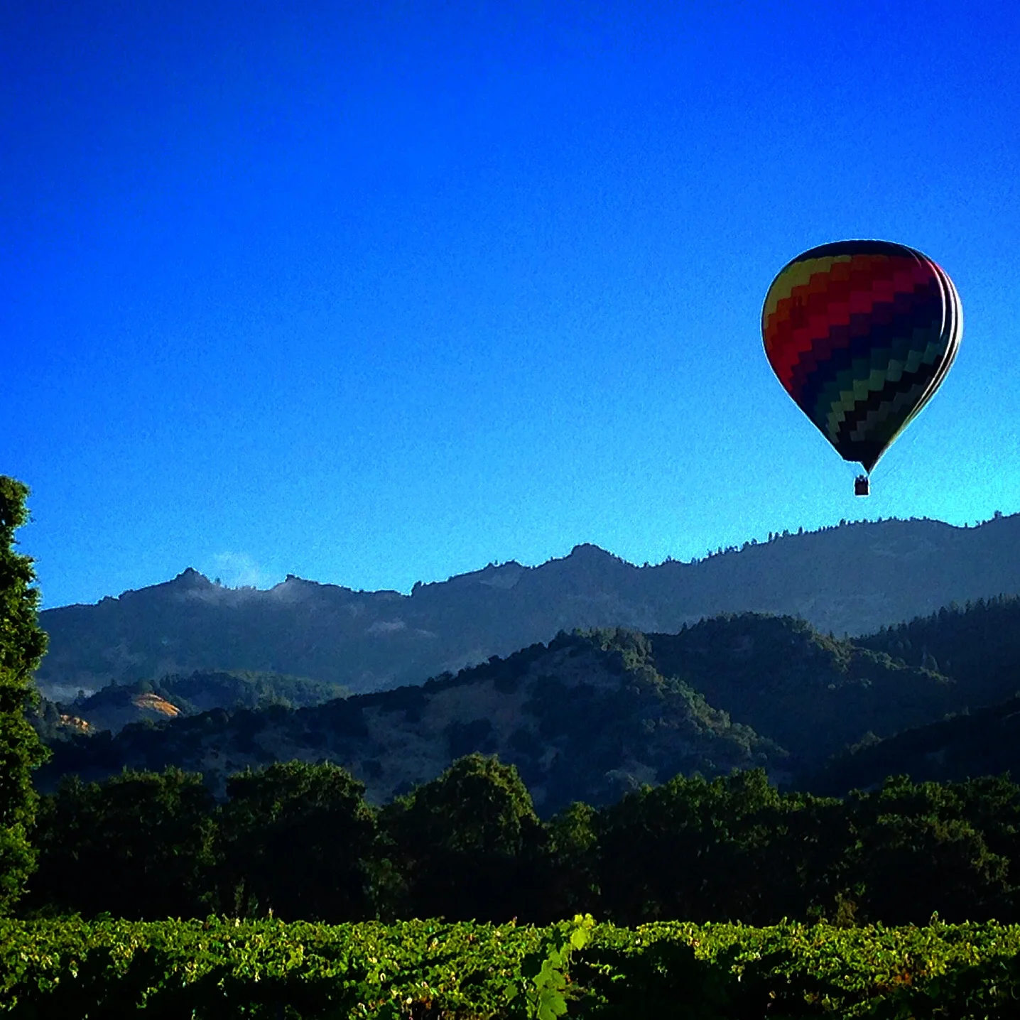 Mindful Awareness Practice