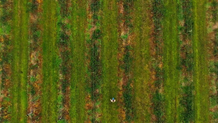 Had the pleasure of shooting this spot for Unity Environmental University. Well done everyone! 

Director/Producer: Jon Davis @cinephilefilms 
Director of Photography: 🐒 
1st AC: @millerpictures904
2nd AC/Drone: @1cutproductions
Gaffer/Grip &amp; Li