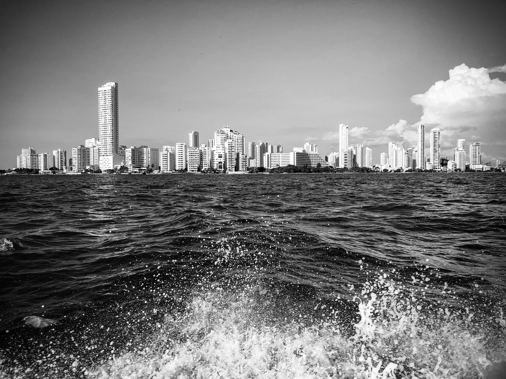 portfolio-60.jpg