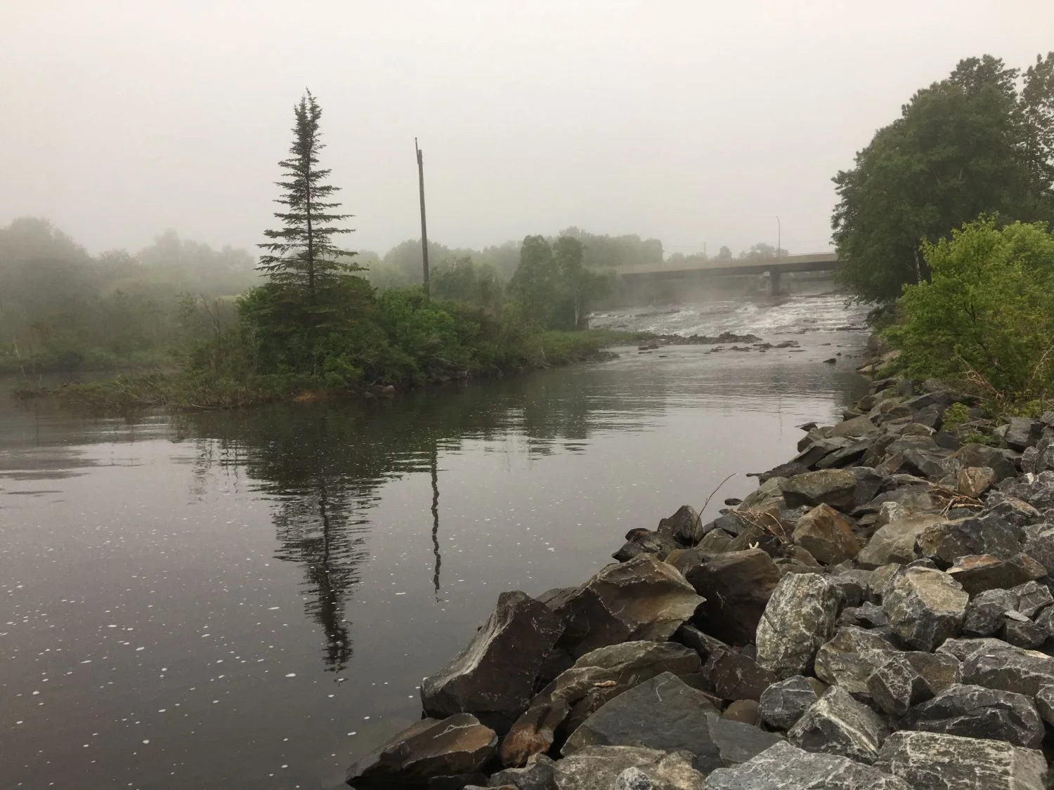 Foggy image of rocks, trees reflected in the water and the outflow of the Current River, in Thunder Bay.