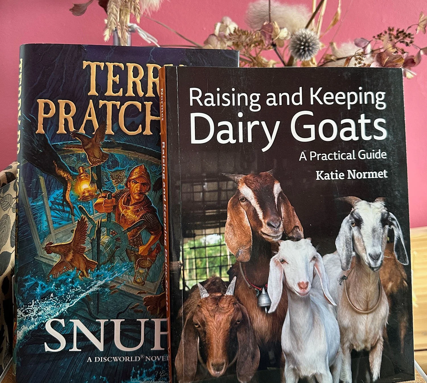 Two books standing one in front of the other, Raising and Keeping Dairy Goats, A Practical Guide, by Katie Normet and Snuff by Terry Pratchett.