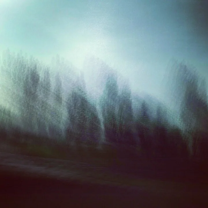 Abstract image of trees blurred from motion, taken from a train.