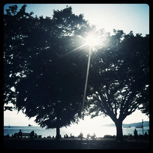 Silhouetted trees with the sun shining through the top, people below, at Sunset Beach, with English Bay, Vancouver, in the background.