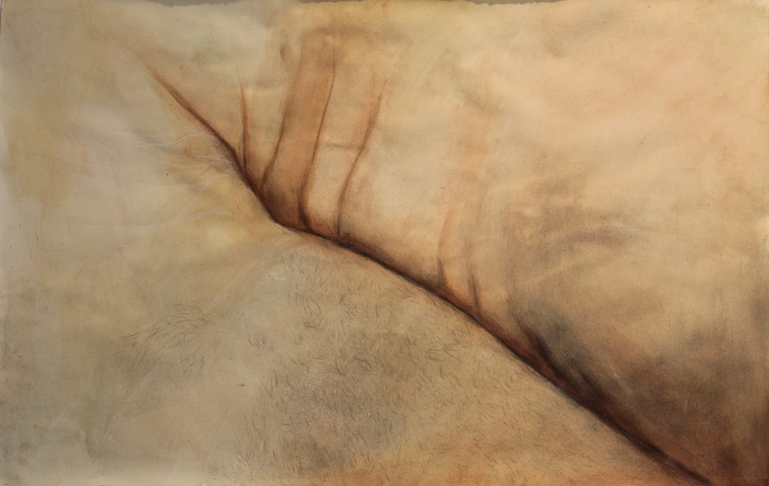 <i>fuzzy, like moth</i> 2015<br>acrylic paint, gouache, color pencil<br> 30" x 40"