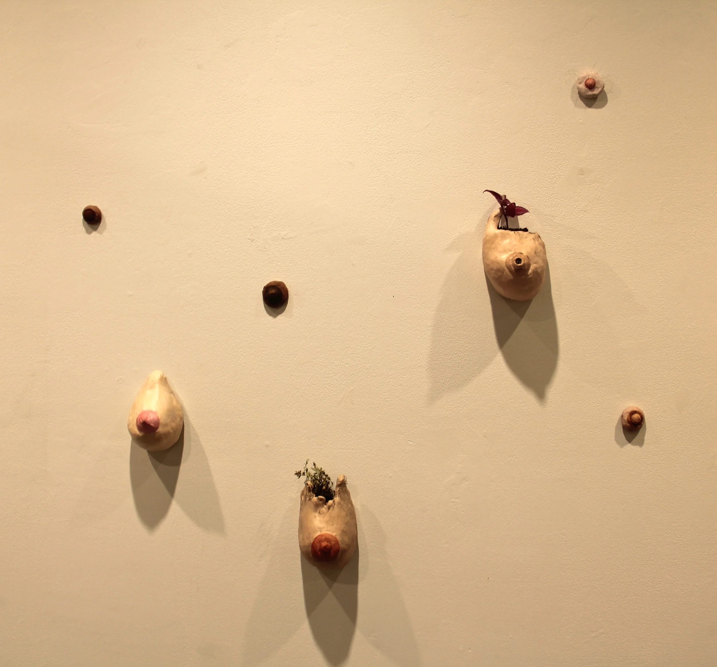 <i>everybody's nips slips</i> (2015) <br>clay, acrylic, watercolor, hair, live plant, dead plant