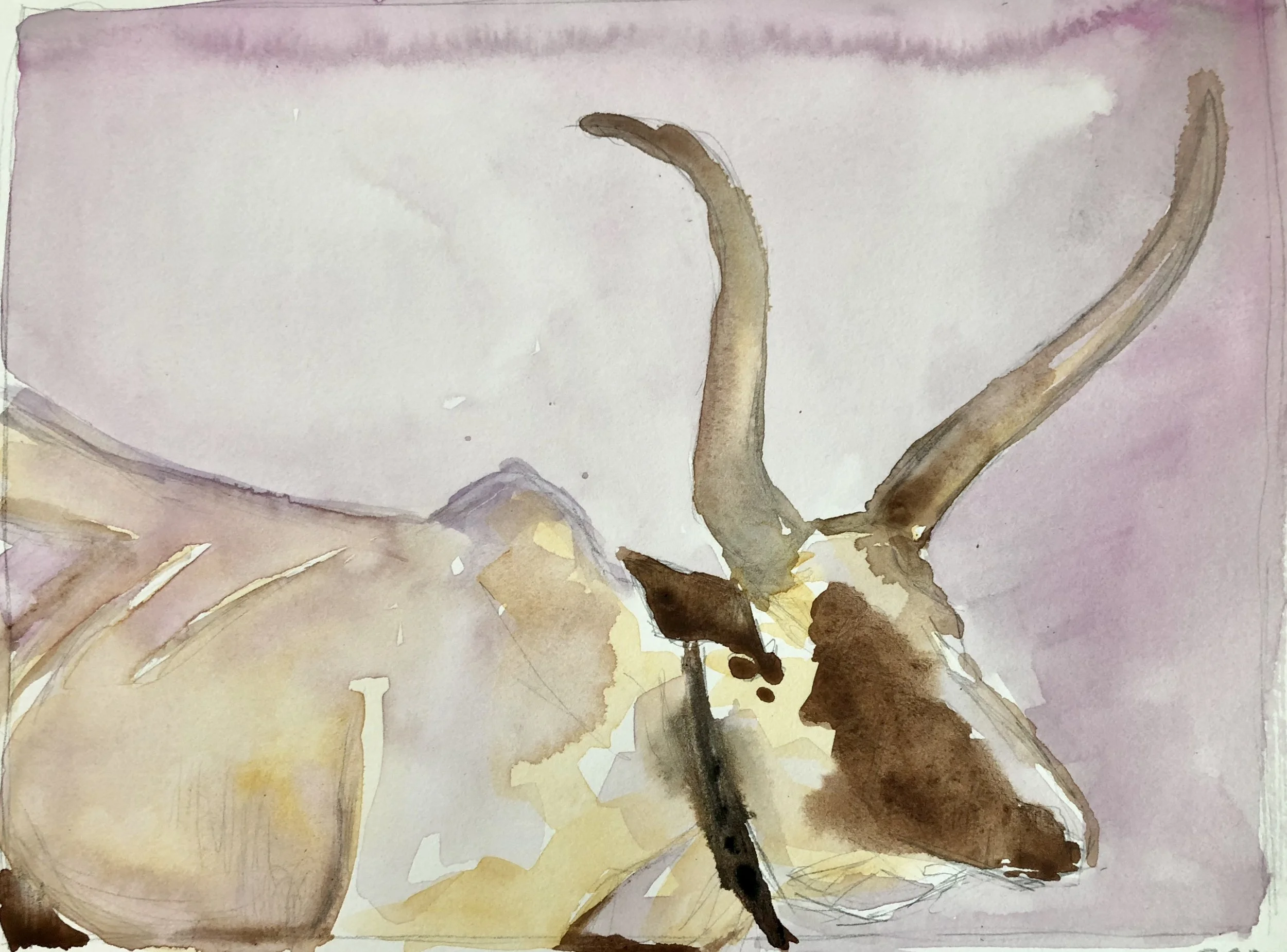 watercolor on paper, 8.5"x11", 2018