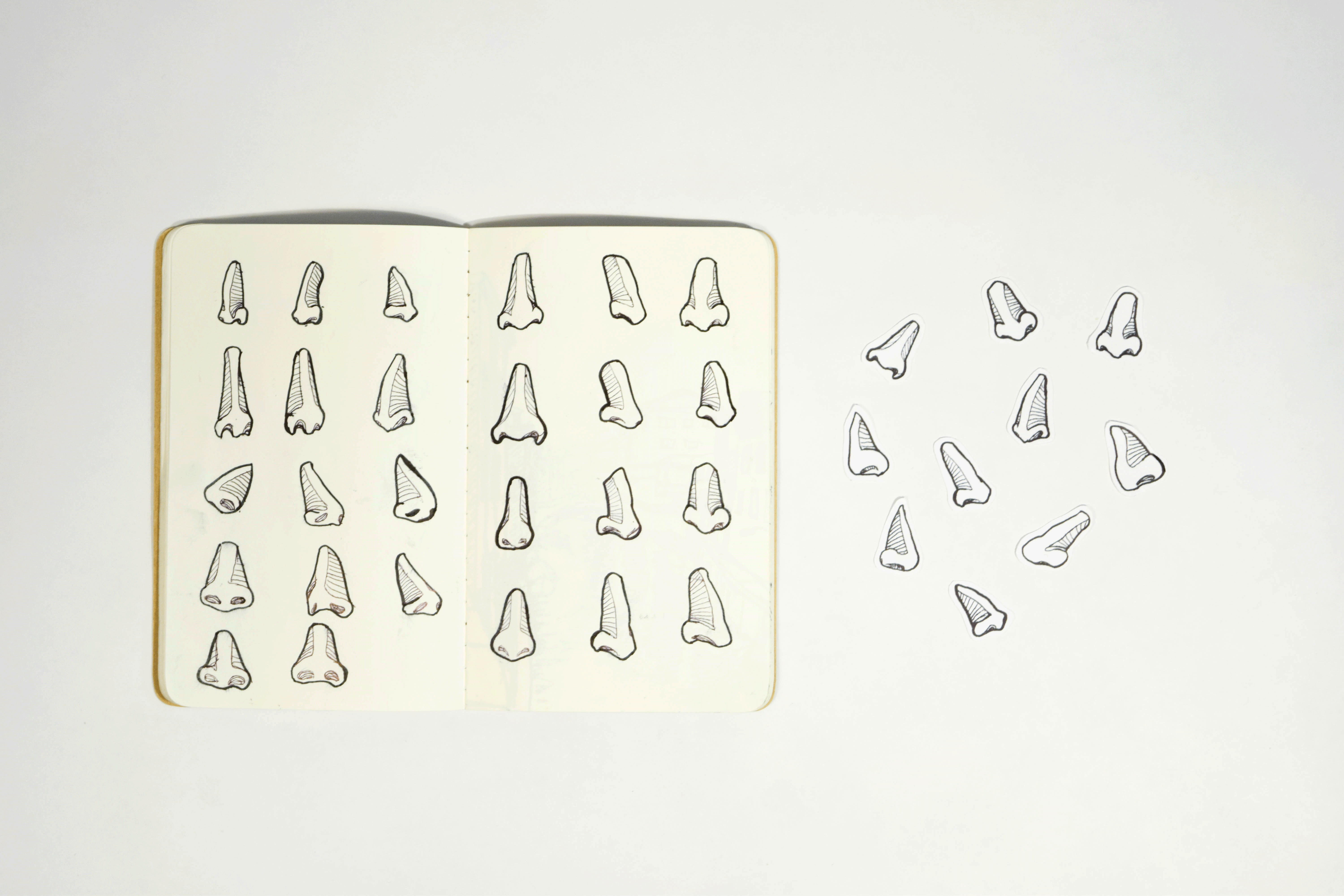 Nose Study into stickers
