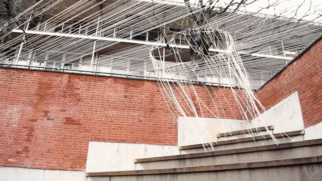Stringfall_1080x_12.5fps_3s.gif