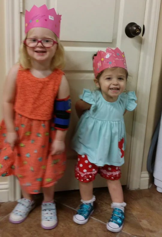 pic---ladybugs.jpg