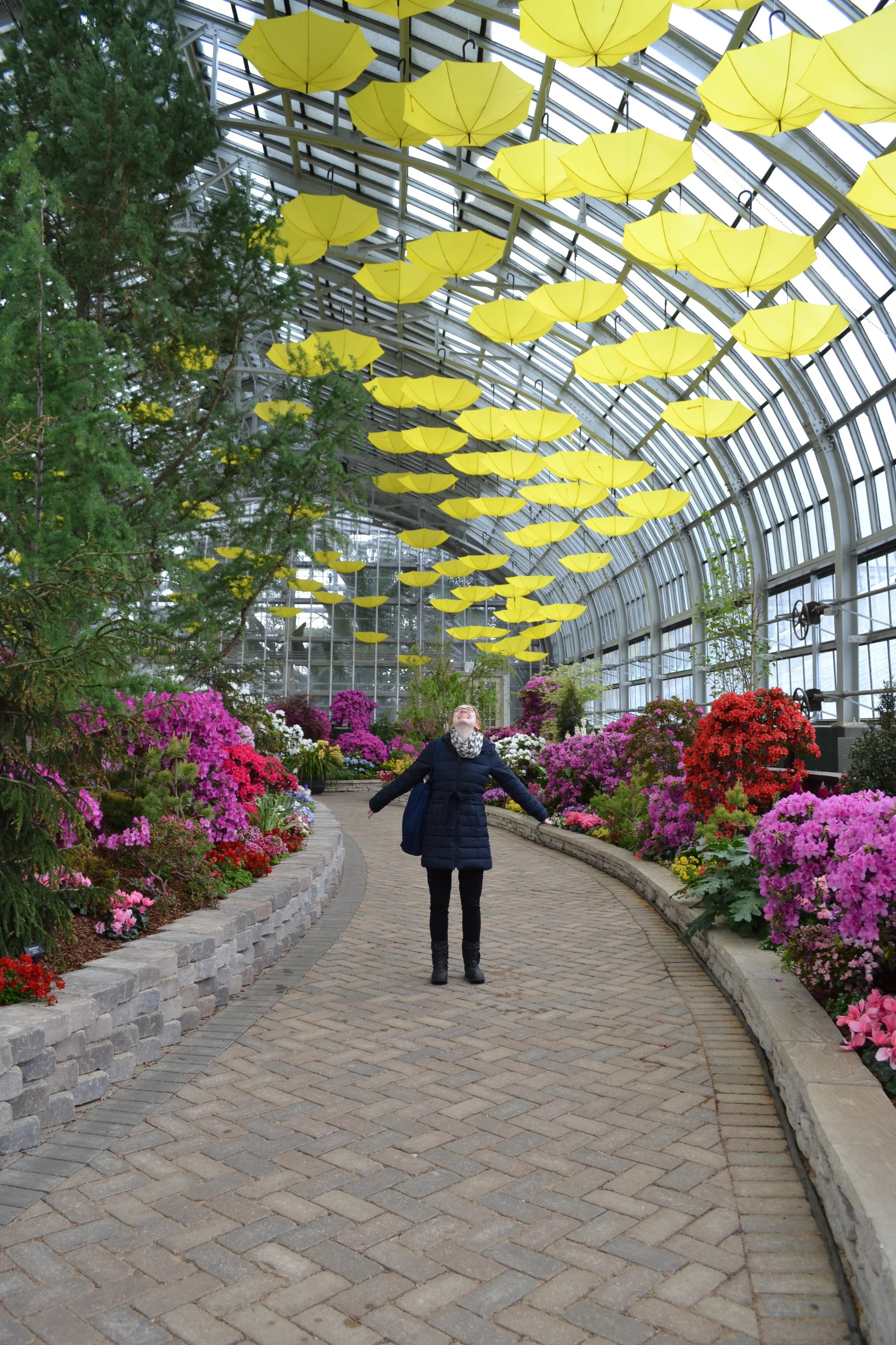 In flower heaven at the Garfield Conservatory