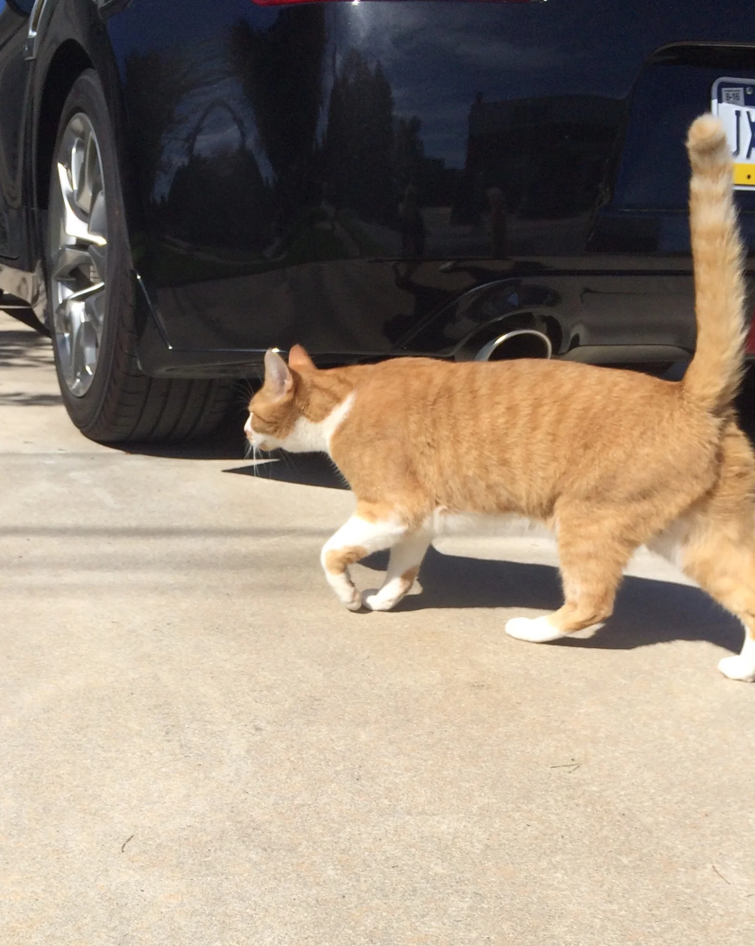 Patrollin' and tryin' to catch me ridin' dirty...