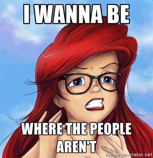 Well great, now "Part of Your World" is stuck in my head. Fun fact: it's the only song I've ever karaoked solo!