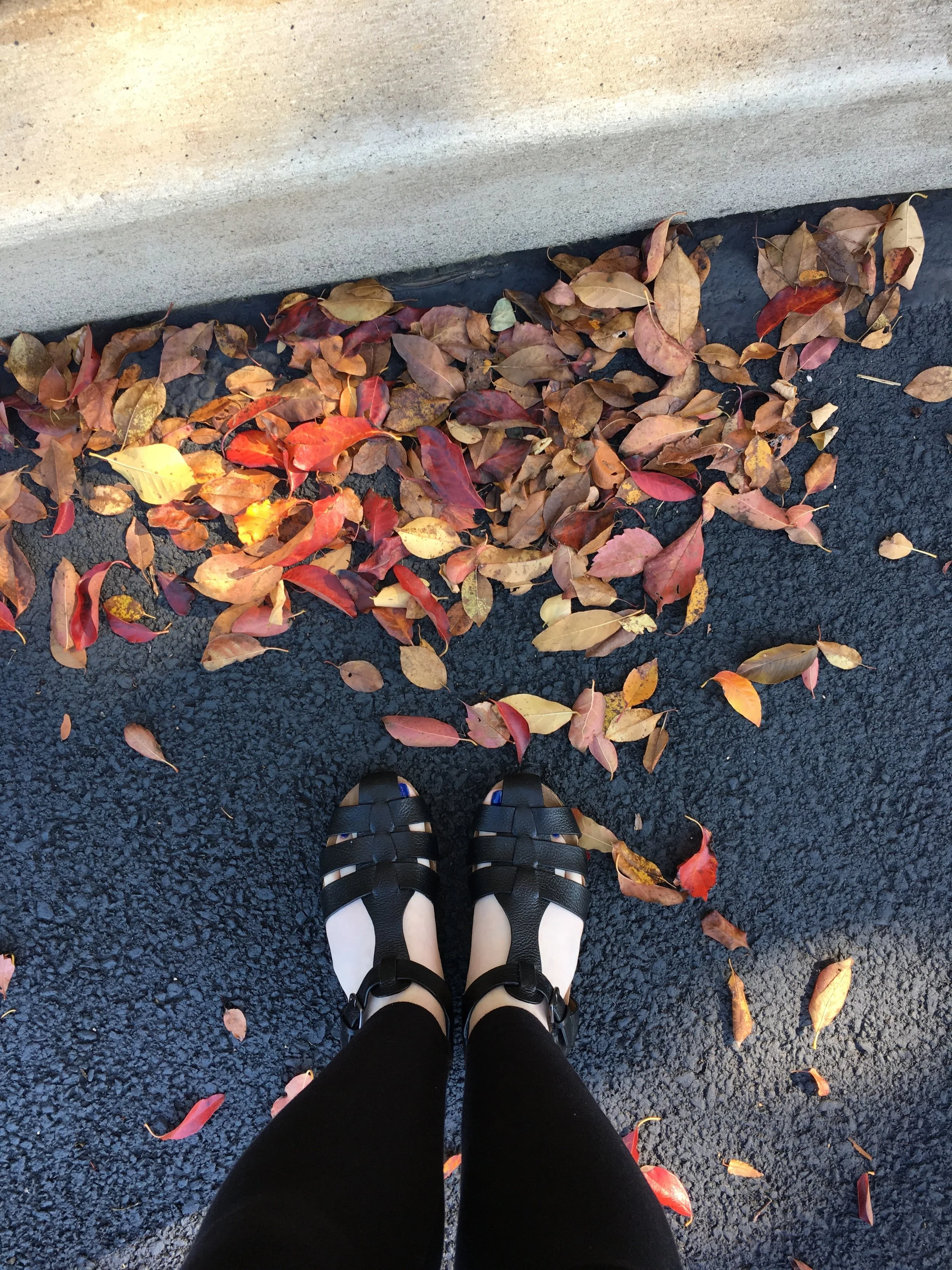 I love warm weather even if it doesn't love me!