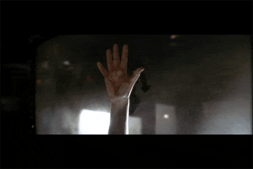 IMG_5763.GIF