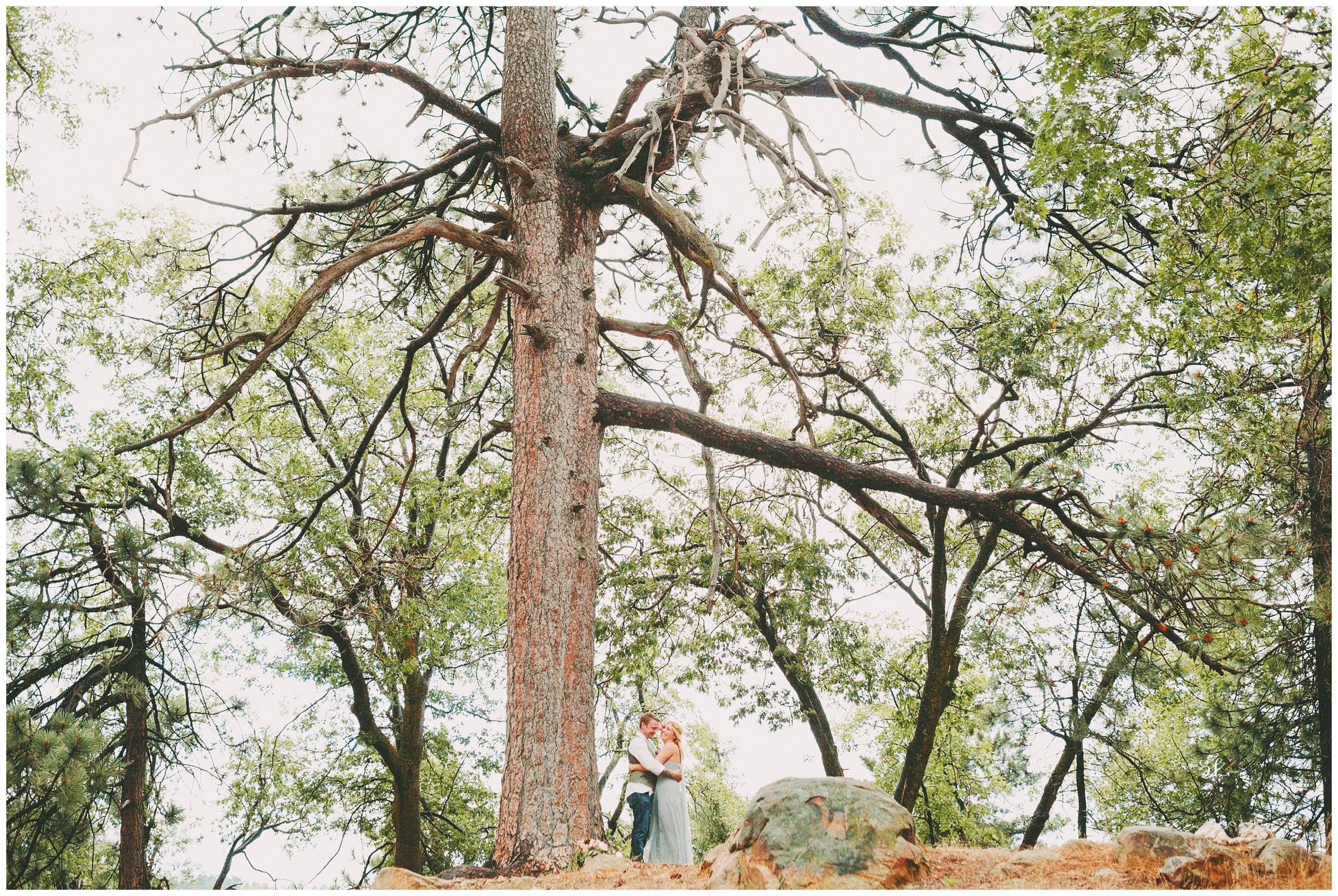Valerie Ronin Photography