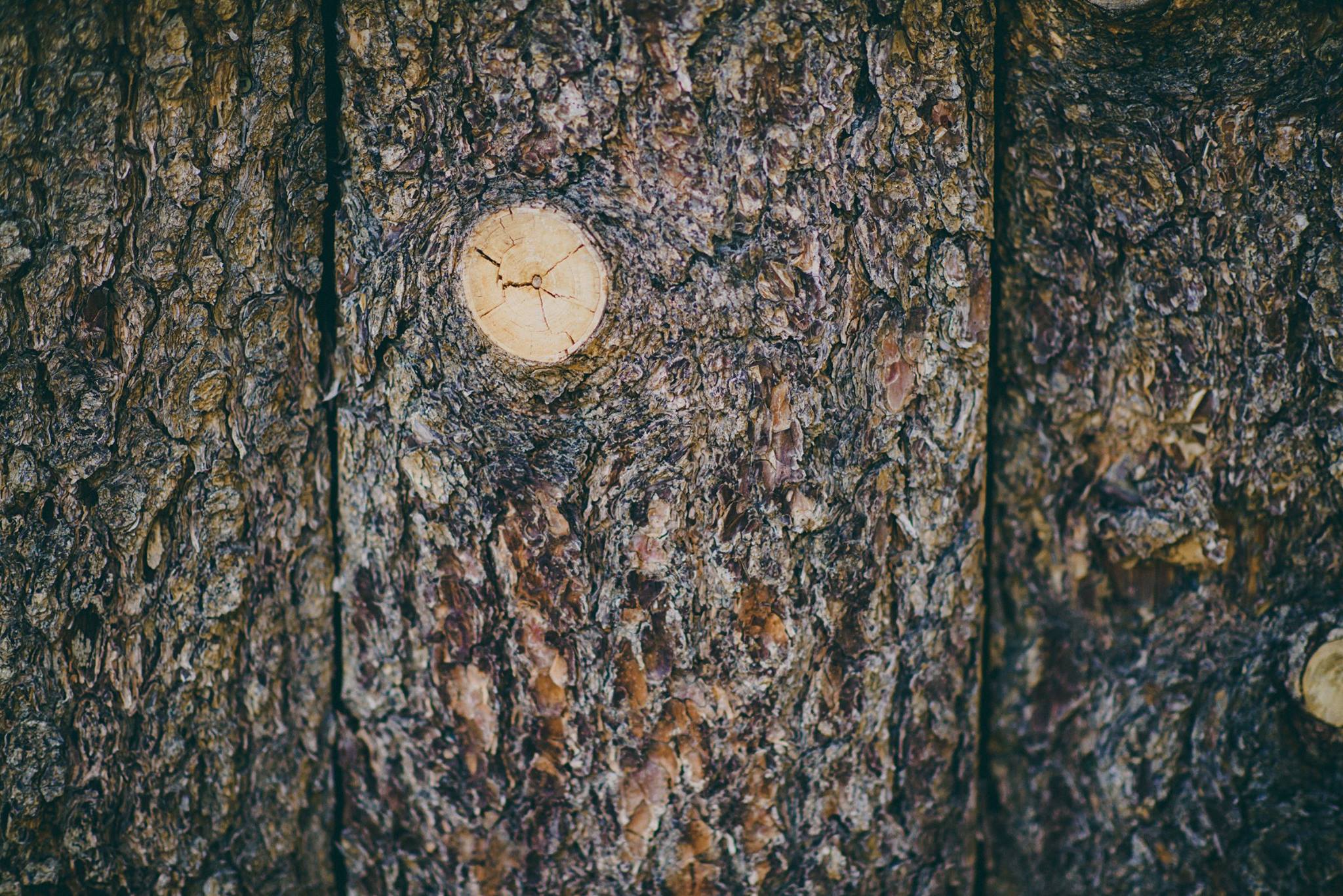Summer Shea Photography