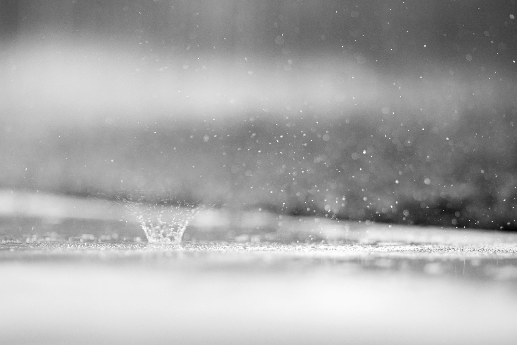 Nicole Kahn Photography